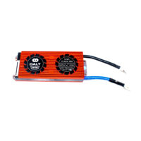 Daly Li-ion 17S 62.9V 100A Battery Management System