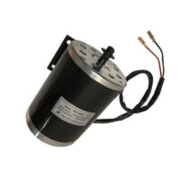 48V 1000W 3000RPM MY1020 EBIKE Brush Motor