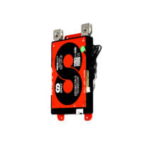 DALY Smart BMS LFP 4S 12V 60A common port with CAN communication