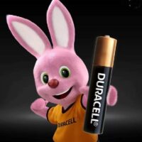 Duracell Alkaline AAAA 1.5V Battery (Pack of 2)