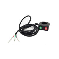 Headlight horn dual function combination switch