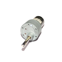 Johnson Geared Motor (Grade B) 10 RPM